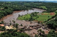 Estudo revela perda de habitat de minhocas expostas a rejeitos da barragem de Brumadinho