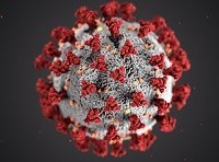 Grupo de Bioinformática aponta fármacos capazes de inibir enzimas do novo coronavírus
