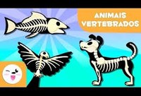 Inscrições abertas para treinamento de participação em atividades com animais vertebrados