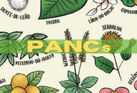 Oficina gastronômica irá ensinar o preparo de plantas alimentícias não convencionais