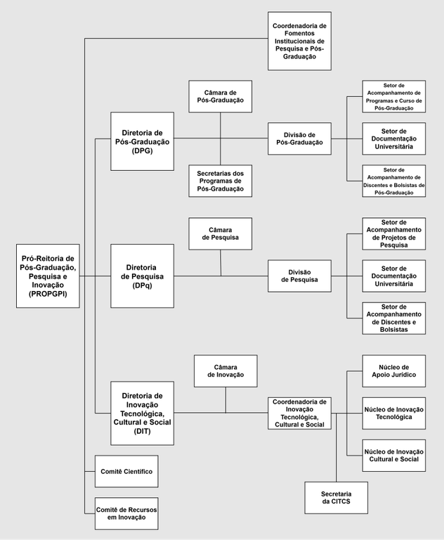 organograma-fundo.png