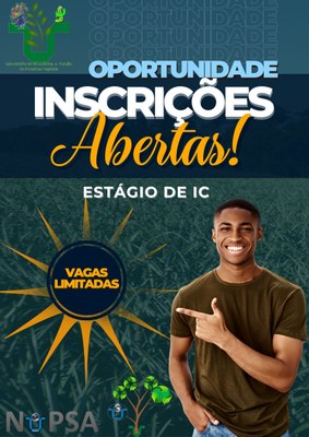 Estágio de IC 2023