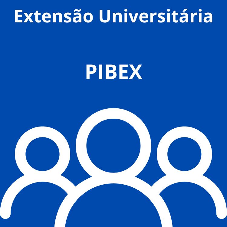 PIBEX 2025