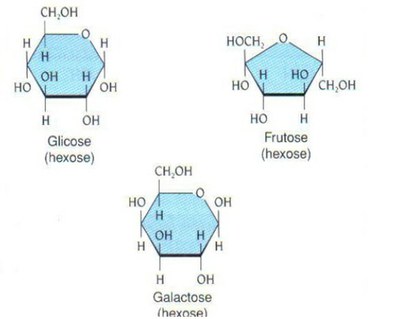 fig 10
