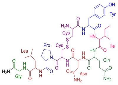 Ptns 9