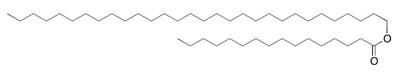 Lipideos 2