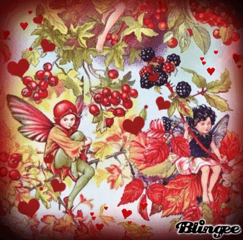 fada fruta
