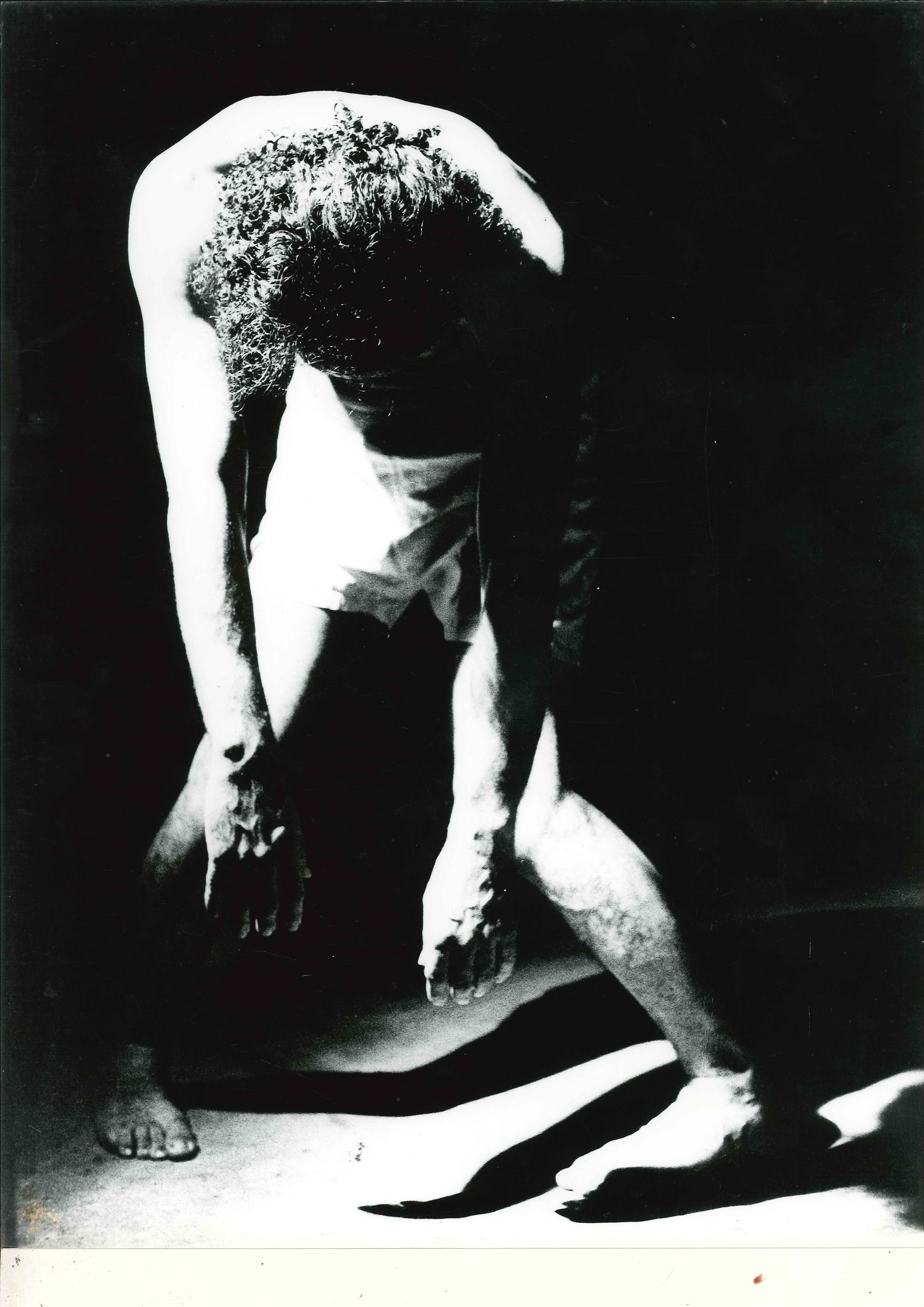 Exposição Dysangelium 4