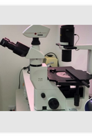 Microscópio invertido TCM400 - Labmed.png Microscópio invertido TCM400 - Labmed.png