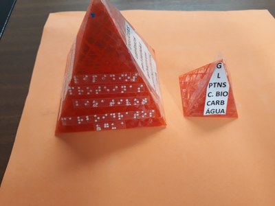 Figura 2_piramidevisa