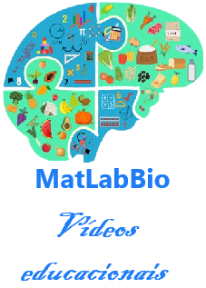 Slide_video