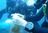 Ilustração temática de peixe recifal e mar azul, representando estudo sobre intoxicação alimentar por ciguatera.