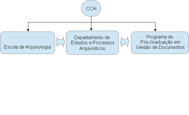 ORGANOGRAMA