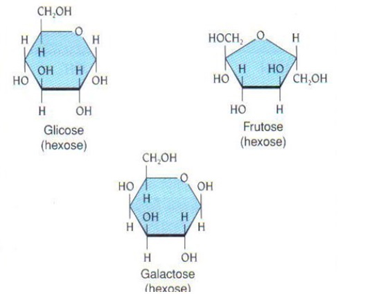 fig 10