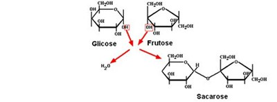 fig 14