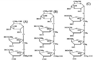 fig 15