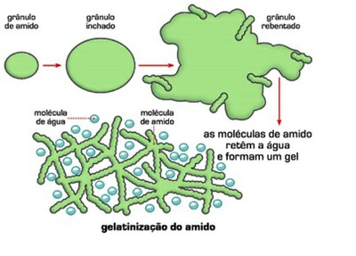 Fig 20