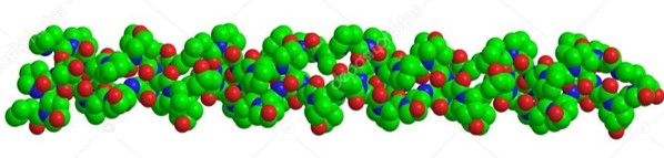 Ptns 10