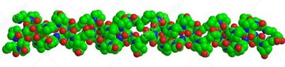 Ptns 10
