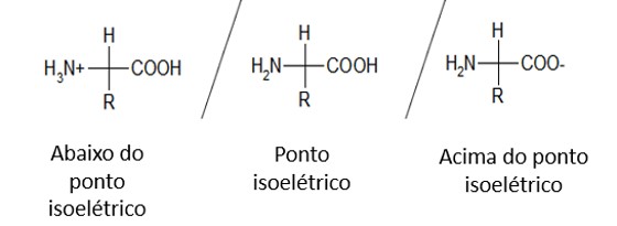 Ptns 15