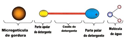 lipideos 10