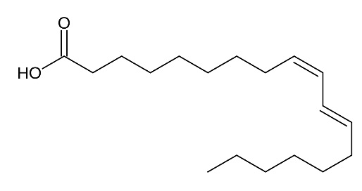 Lipideos 4