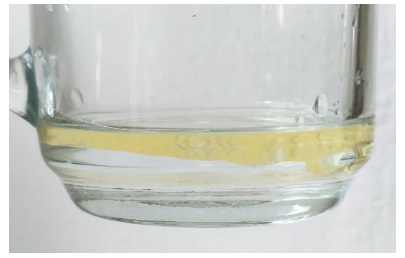 Lipideos 9