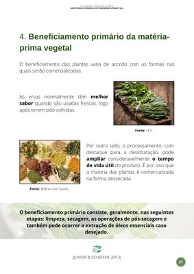 Veg21