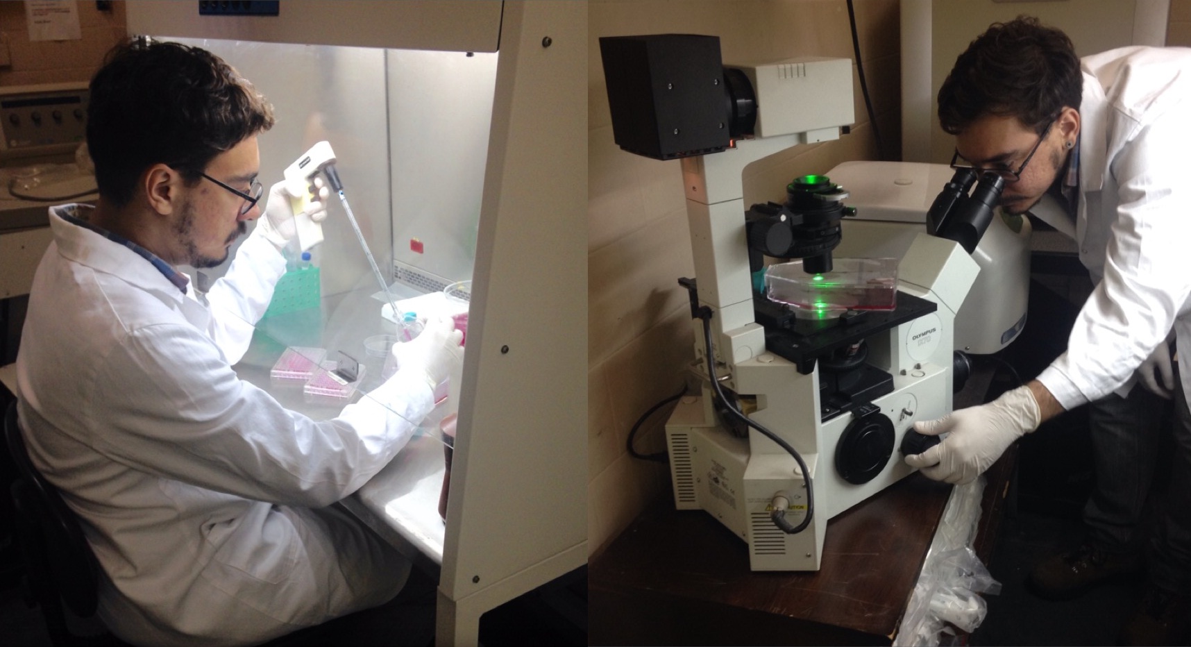 O pesquisador Carlos Fernando Araujo-Lima em diferentes etapas do estudo (Fotos: Arquivo pessoal)