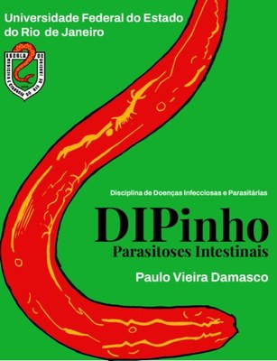 Livro DIPinho 2024