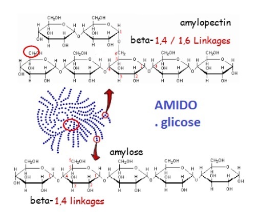 fig 17