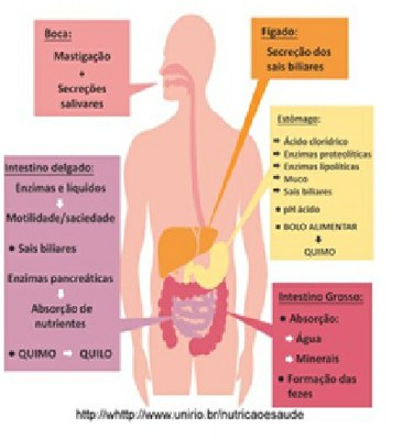 Fig 22