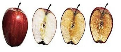Fig 23