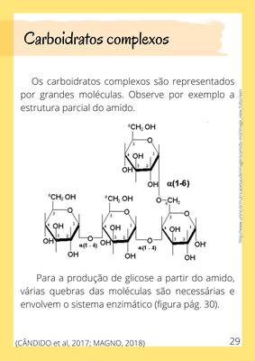 Cartilha2_28