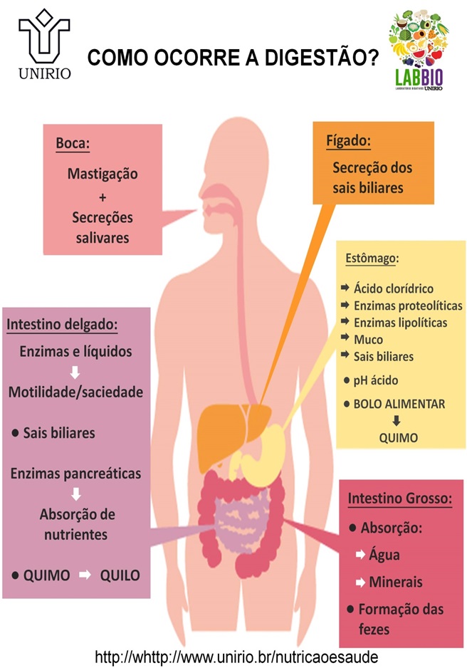 Lipideos 12