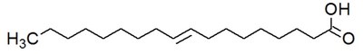 Lipideos 6