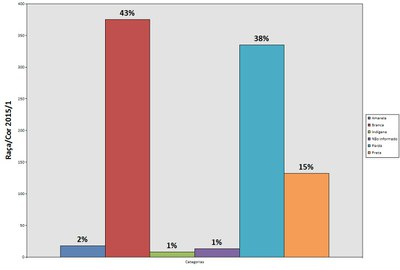 Raça/Cor 2015.1