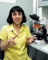 Elba Regina Sampaio de Lemos