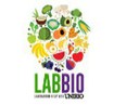 Pirâmide alimentar é tema de minicurso do LabBio