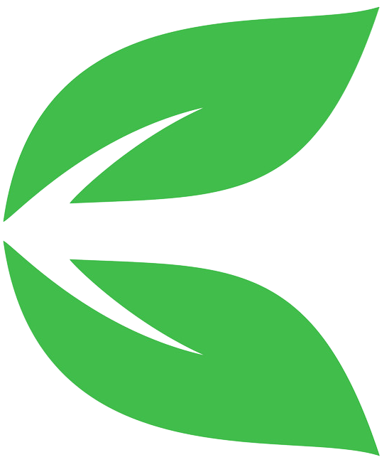 Folha verde seta 2