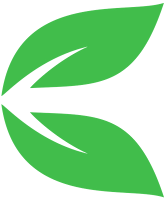 Folha verde seta 2