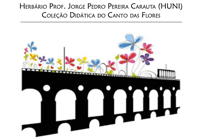 LOGO Coleção Didática do Canto das Flores