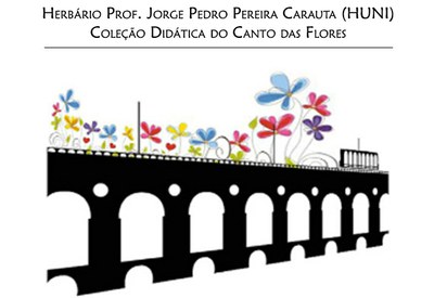 LOGO Coleção Didática do Canto das Flores