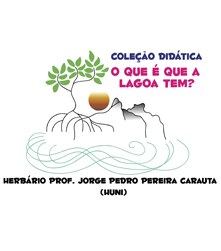 Logo Final Lagoa - Prancha
