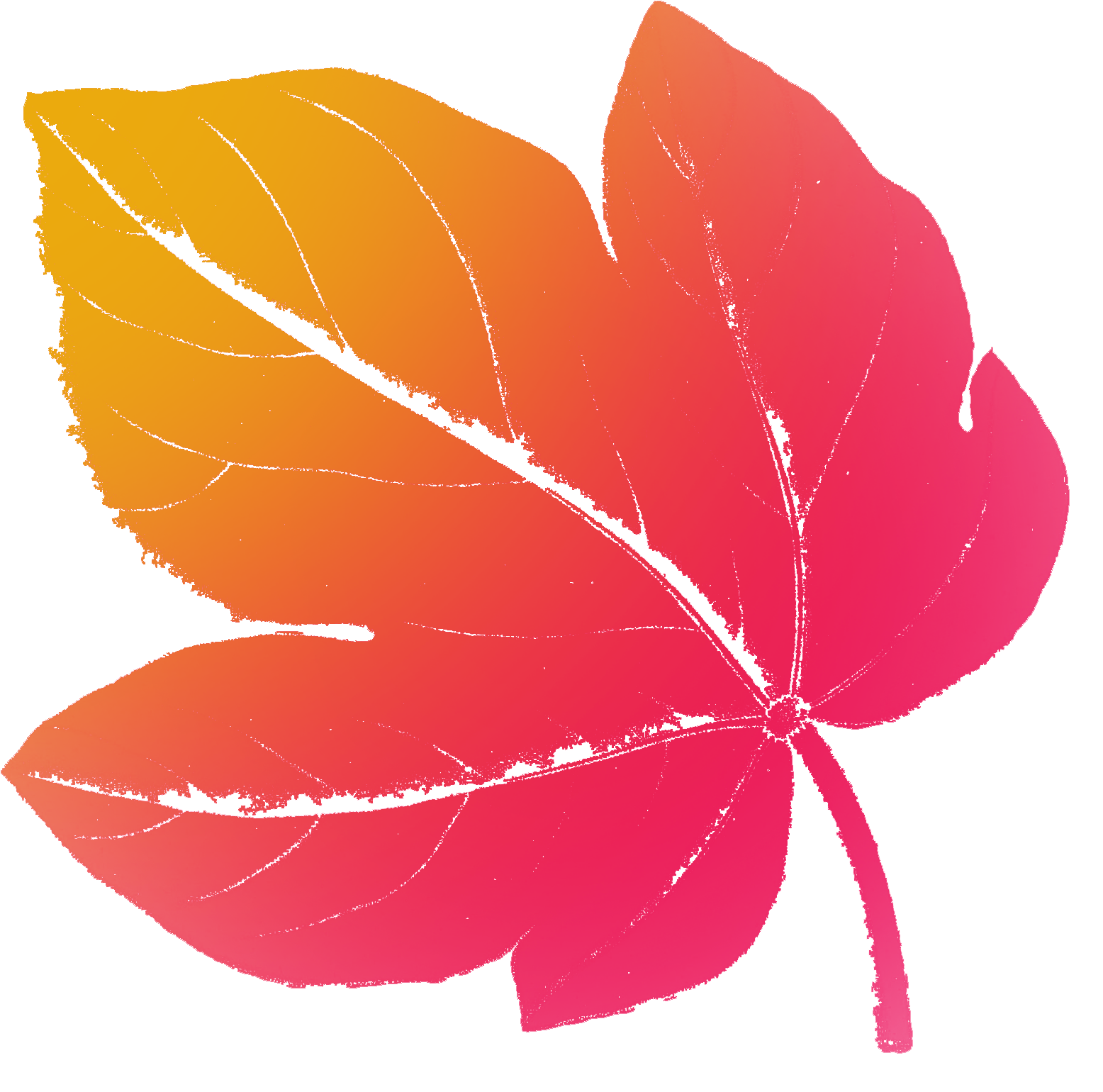 Símbolo rosa