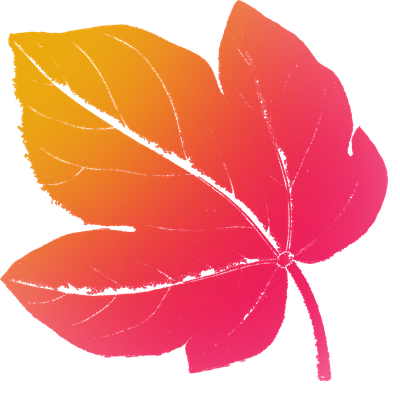 Símbolo rosa
