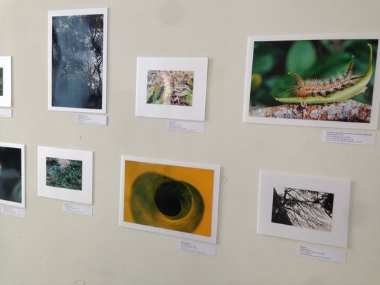 Foto: PPGBIO Foto: PPGBIO