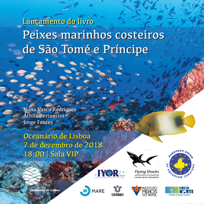 Imagem: Divulgação