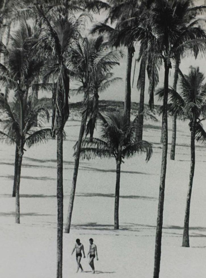 NOTA DO PPGEDU E DA ESCOLA DE EDUCAÇÃO SOBRE A LUTA POR DIREITOS E CIDADANIA, CONTRA A LGBTfobia 