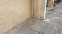 Removida a "casinha" dos gatos
